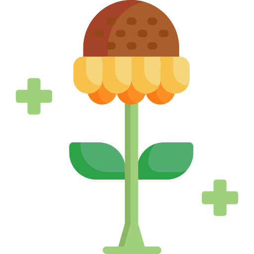 Ana Sayfa 12 aromaterapi bitkisel yaglar dogal tedavi